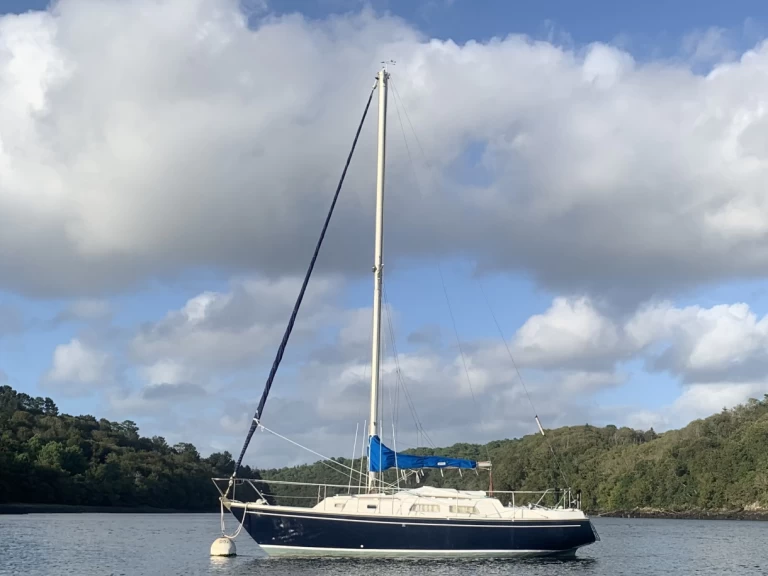 Yacht charter Port de Sainte-Marine billig contest 29