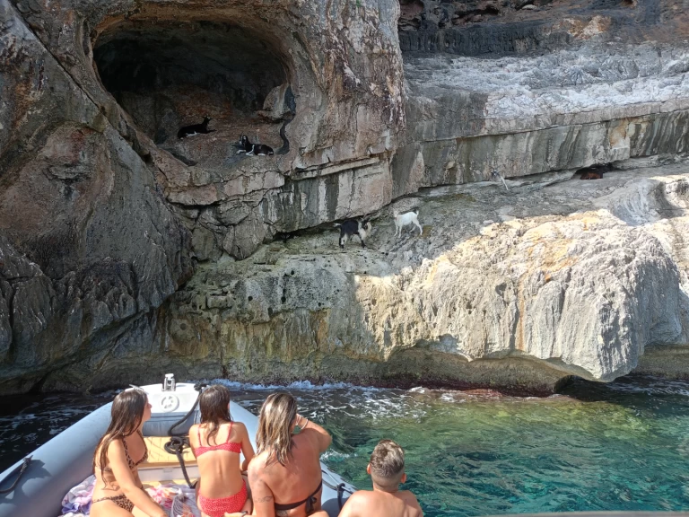 Uthyrning Cala Gonone - Nuova Jolly King 750 av Samboat 