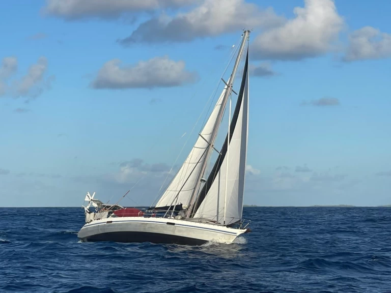 Hyr en Alubat Ovni 43 La Paz 