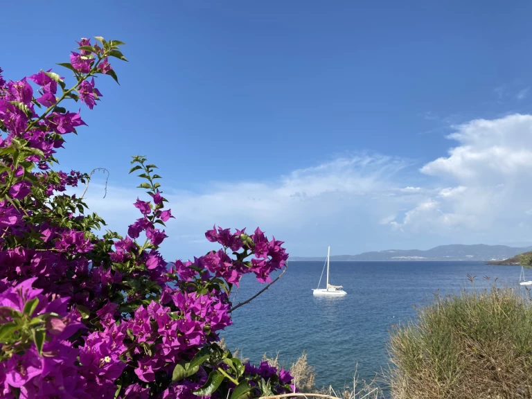 Uthyrning Pianottoli-Caldarello - ALIBI ALIBI 54 av Samboat 