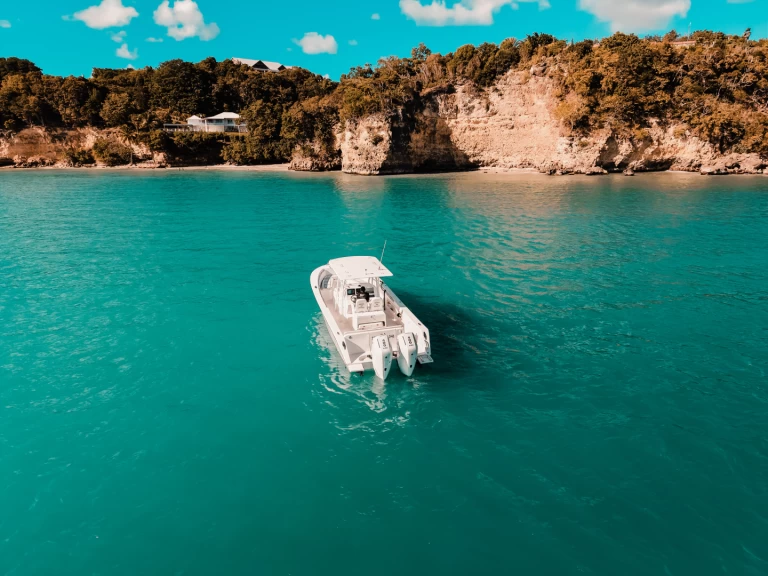 Uthyrning Motorbåt  Forboat med en båtlicens 