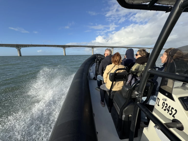 Uthyrning RIB Narwhal med en båtlicens 