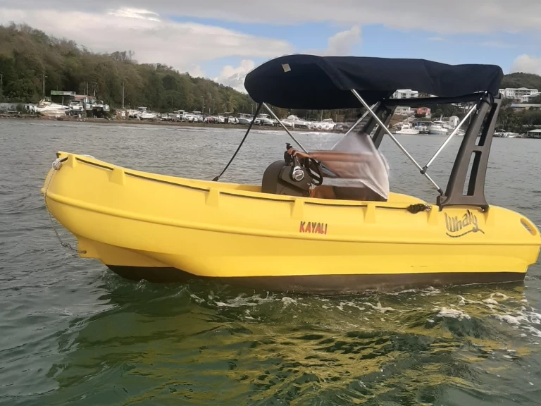 Uthyrning Motorbåt  Whaly med en båtlicens 