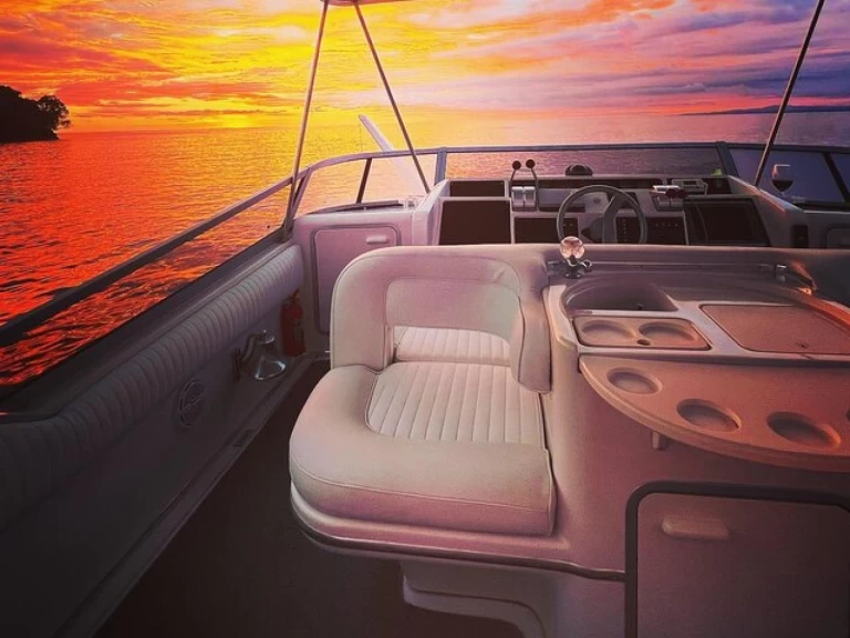 Uthyrning Lyx yacht Sea Ray med en båtlicens 