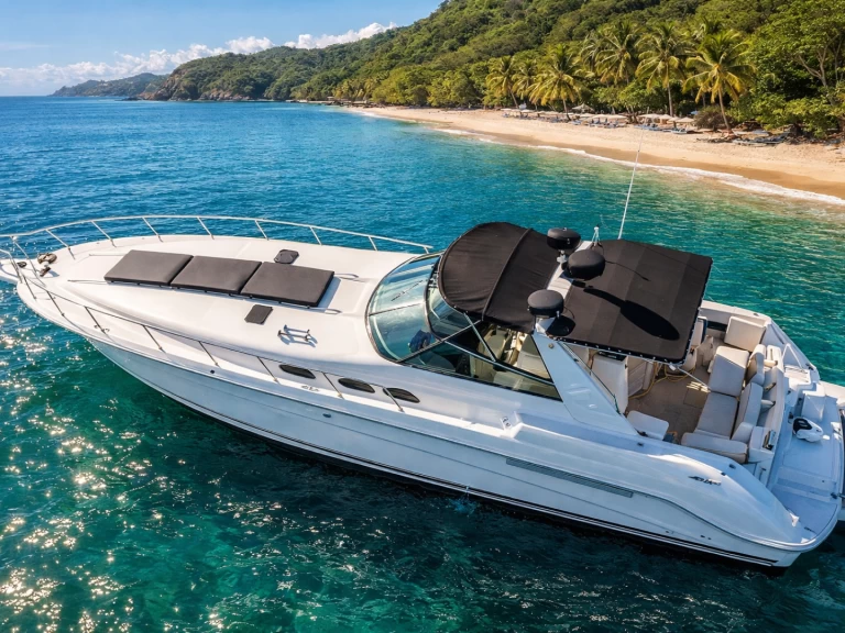 Yacht charter Marina Papagayo billig Sea Ray 50