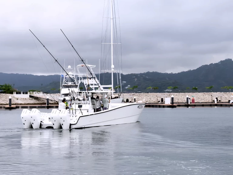 Hyr en Freeman Freeman 47FT Flamingo 