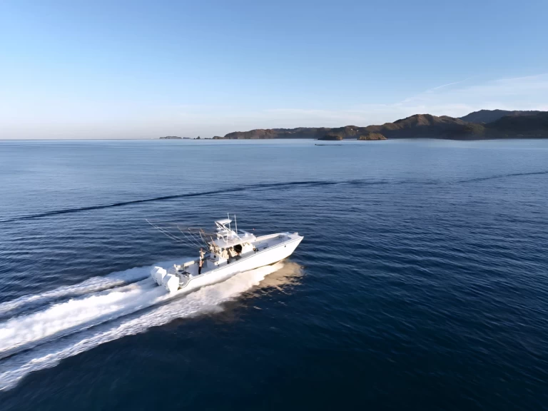 Yacht charter Flamingo billig Freeman 47FT