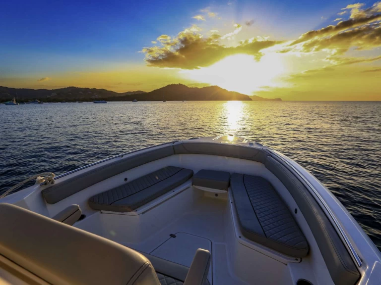 Uthyrning Motorbåt  Pursuit med en båtlicens 