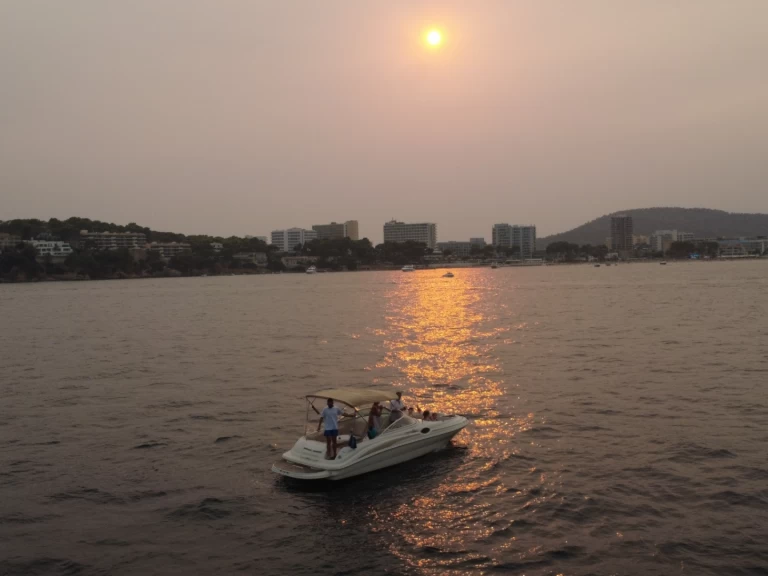 Uthyrning Palma de Mallorca - Sea Ray Sea Ray 240 Sundeck av Samboat 