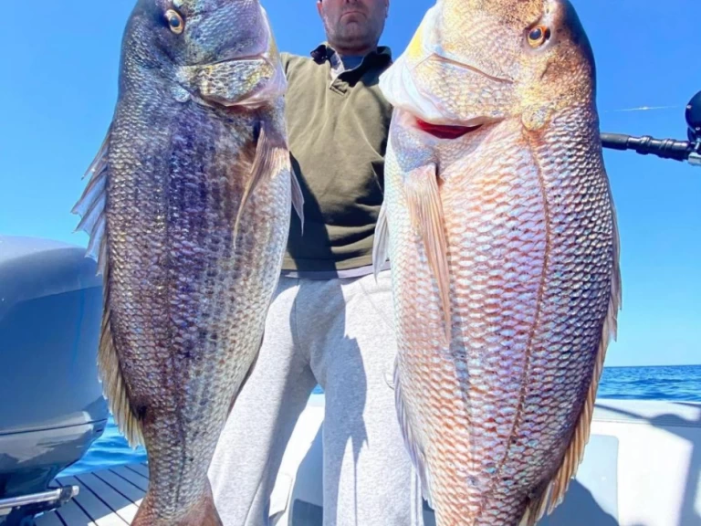 Hyra Motorbåt  med eller utan skeppare Saver 33 Marina di Portisco 