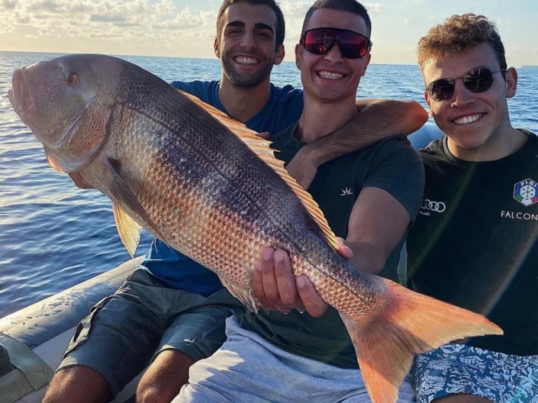 Uthyrning Motorbåt  Saver 33 med en båtlicens 