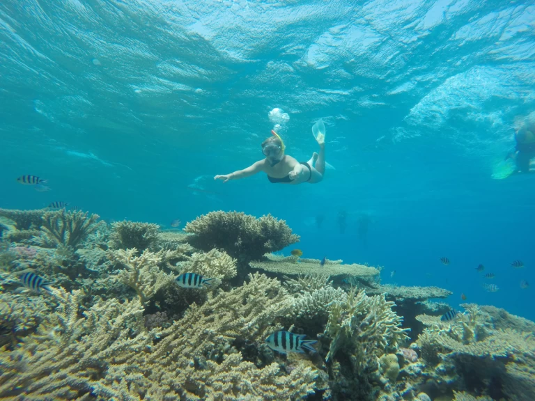 Hyr en  Custom Built  444 Sharm el-Sheikh 