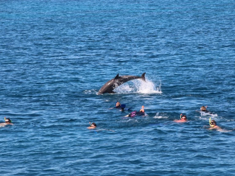 Uthyrning Lyx yacht  med en båtlicens 