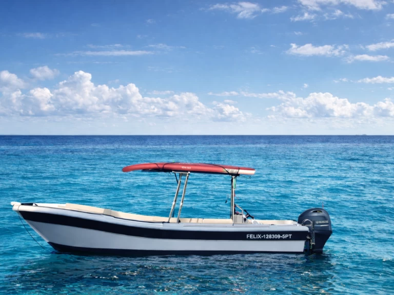 Hyr en Dipol motorboat Ilha da Madeira 